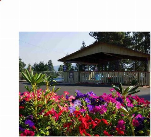 Swiss Holiday Lodge image 10